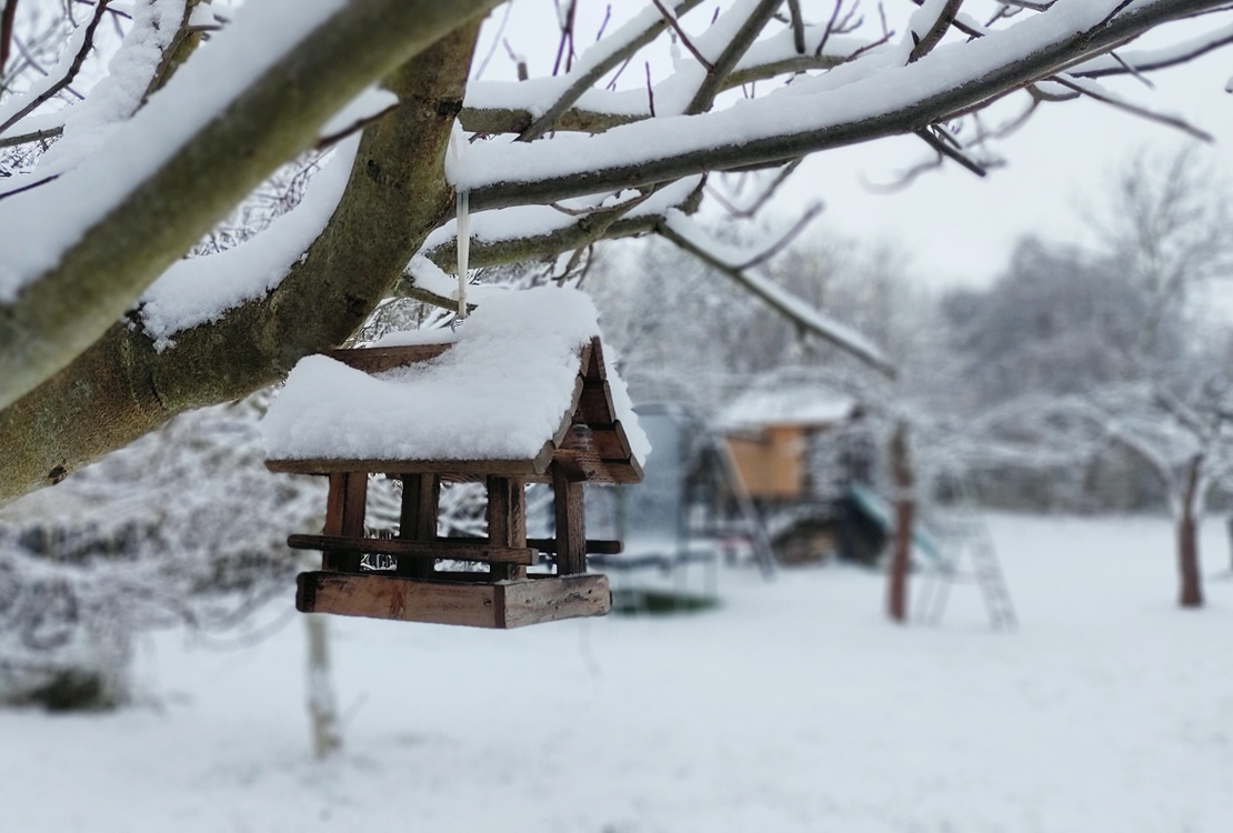 Zimowe NOWINY już dostępne – zapraszamy do lektury!